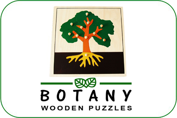 botany Montessori materials